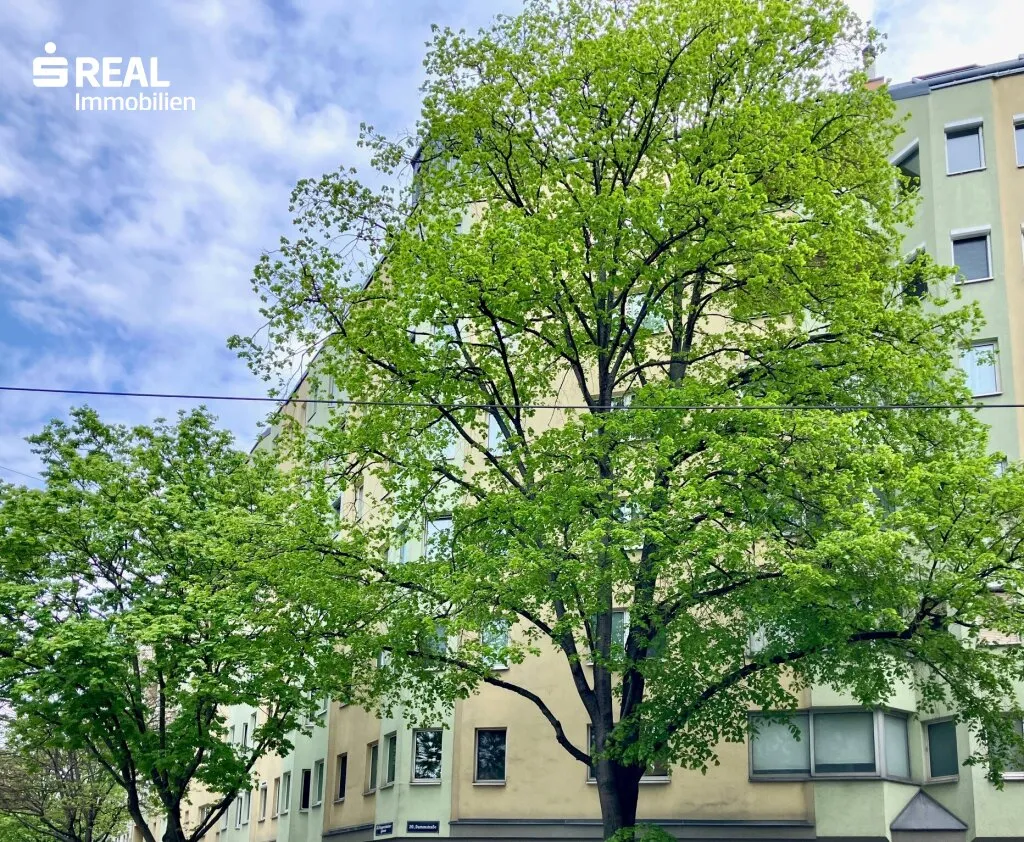Apartment in Wien - View 3