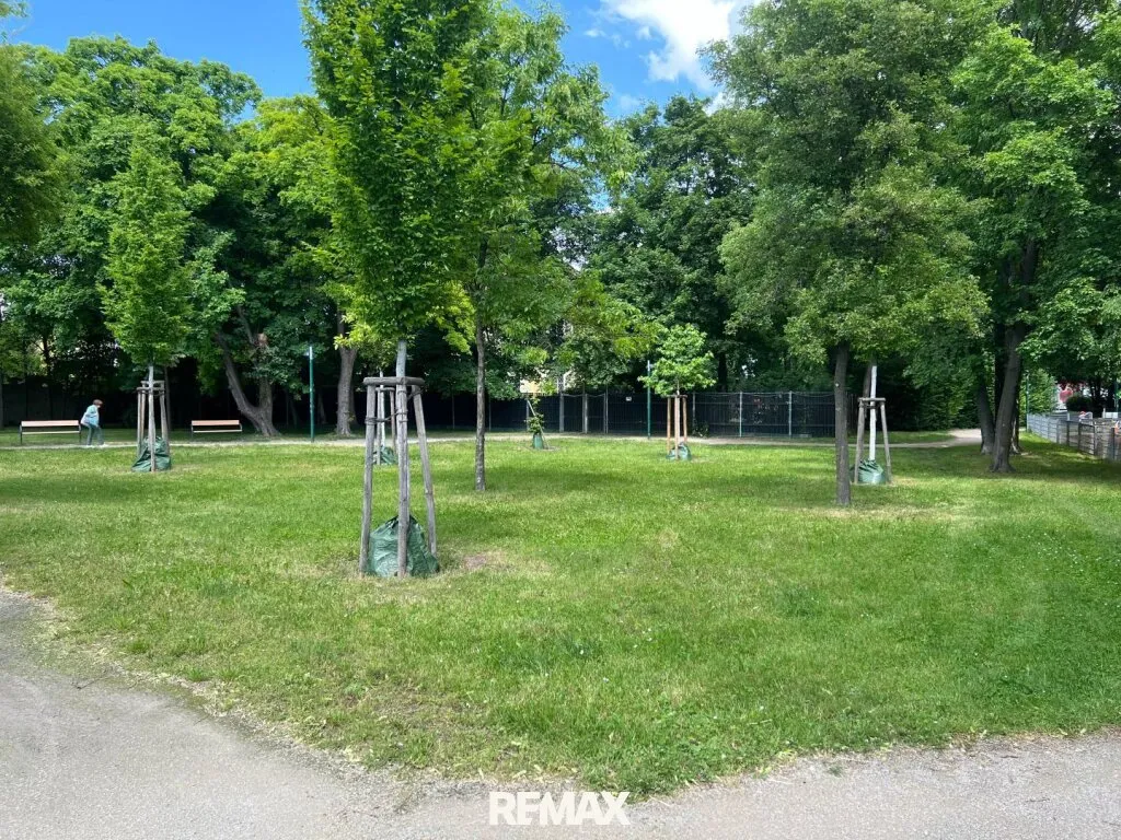 Modernes Reihenhaus Erstbezug 4 Zimmer, Garten & Stellplatz in 1230 Wien! - Ansicht 3