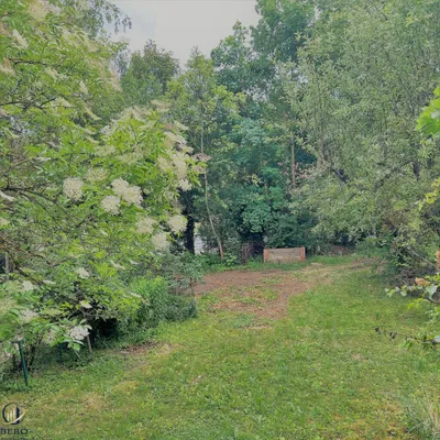 4-Zimmer-Haus kaufen in Horn – 195 m² – Bild 26 von 36