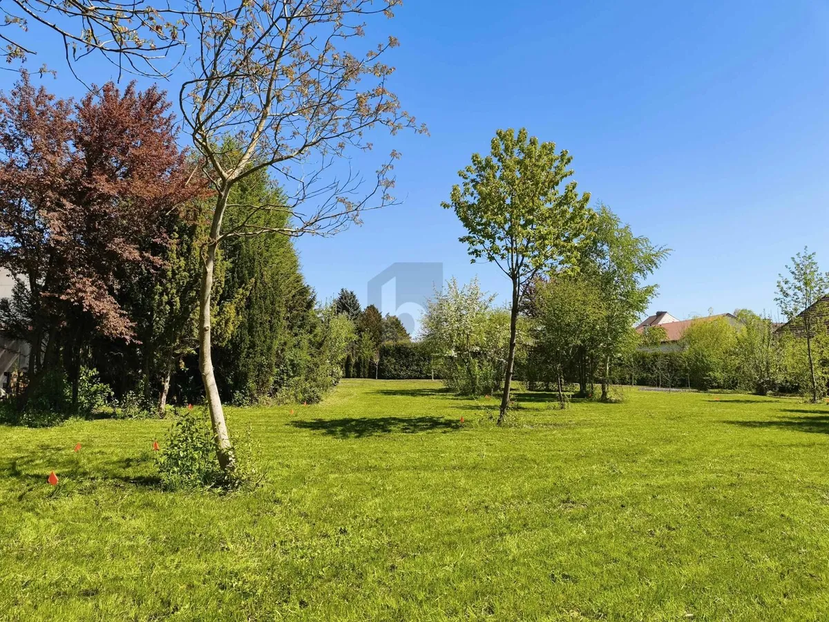 Terreno, 1264 m²