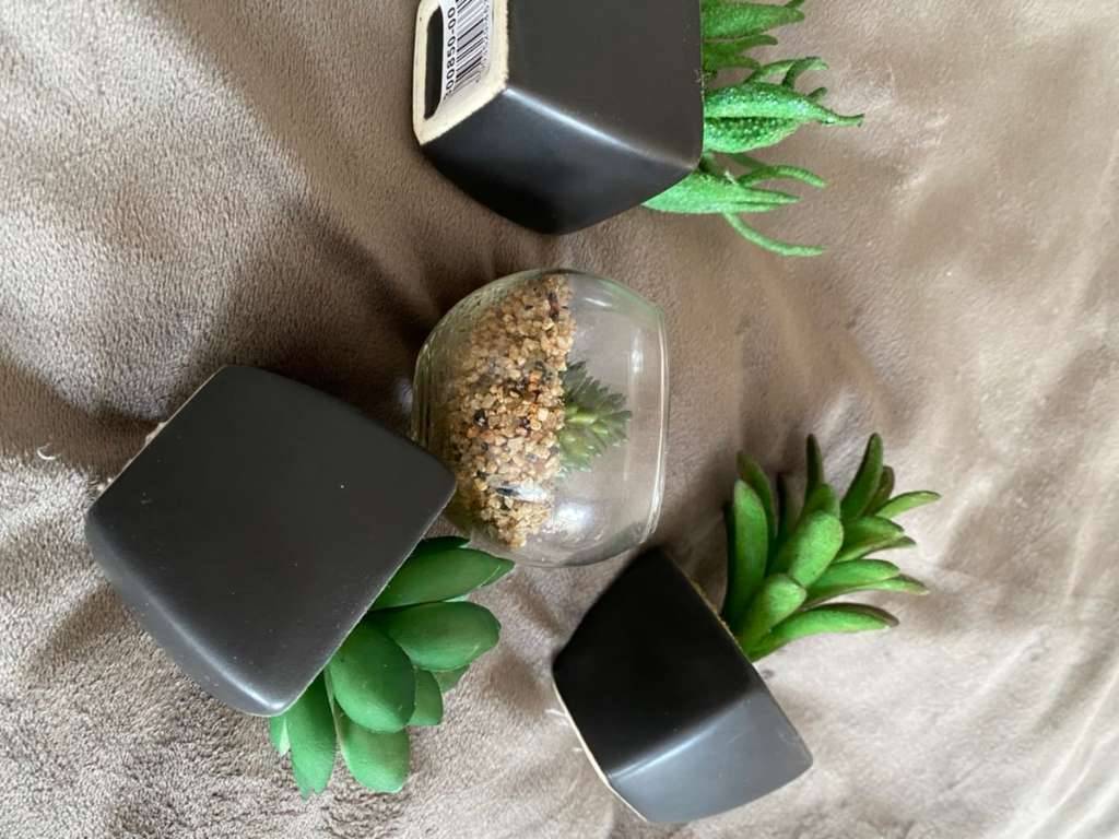 Set mini Plastik Pflanzen,  5,- (1060 Wien) - willhaben
