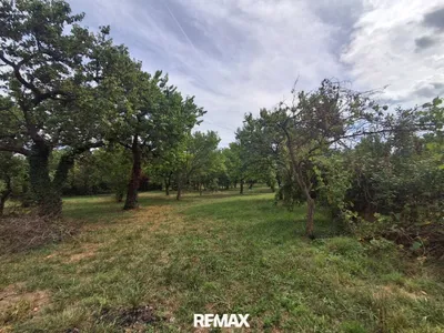 Grundstück kaufen in Eisenstadt - Umgebung – 5 143 m², € 465.000 – Bild 5 von 8