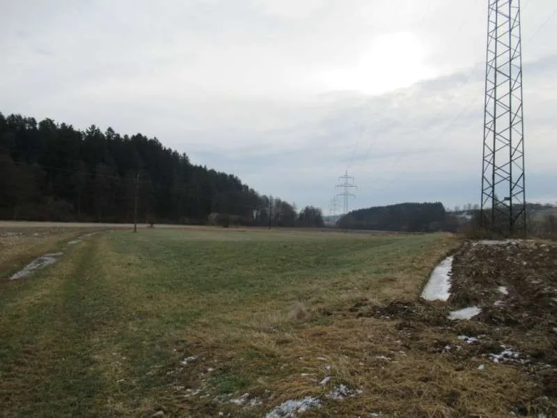 Konkursverwertung! Freilandflächen in Unterdombach - Nähe Hartberg! - Ansicht 3