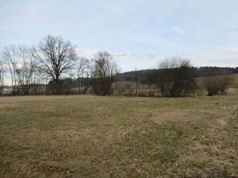 Konkursverwertung! Freilandflächen in Unterdombach - Nähe Hartberg! - Ansicht 2