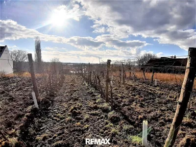 Grundstück kaufen in Neusiedl am See – 2 400 m², € 768.000 – Bild 3 von 3