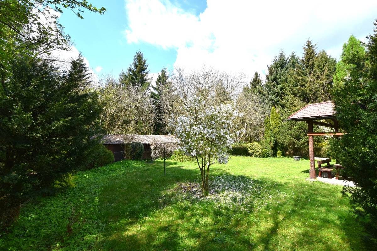Idyllischer Traumplatz am Pfenningberg - ALLEINLAGE + optional 11.215 m² Wald - Ansicht 3