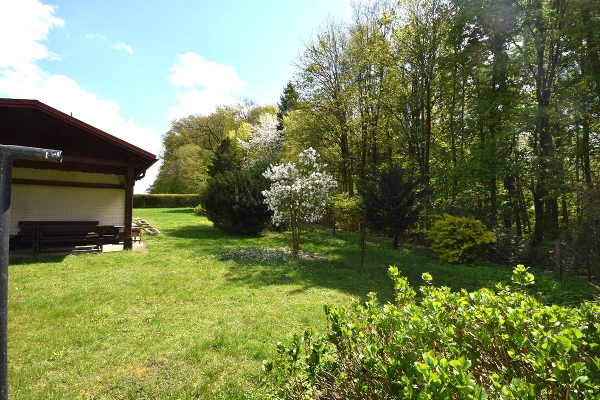 Idyllischer Traumplatz am Pfenningberg - ALLEINLAGE + optional 11.215 m² Wald - Ansicht 2
