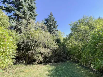 9-Zimmer-Haus kaufen in Neunkirchen – 200 m², € 245.000 – Bild 16 von 19