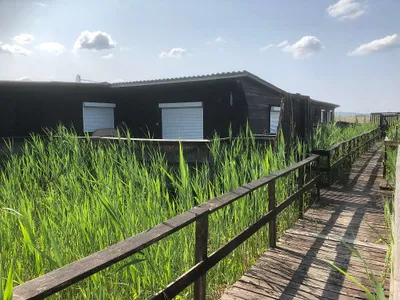 4-Zimmer-Wohnung mieten in Neusiedl am See – 90 m², € 450 – Bild 5 von 62