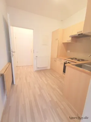 1-Zimmer-Wohnung mieten in Wien – 31,27 m², € 499 – Bild 5 von 9
