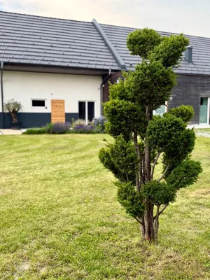 Immobilie kaufen in Hartberg-Fürstenfeld – 363 m², € 2.200.000 – Bild 3 von 31