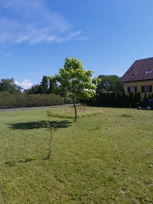 Grundstück kaufen in Südoststeiermark – 701 m², € 63.000 – Bild 4 von 6