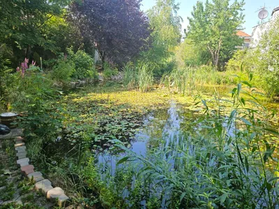 7-Zimmer-Gewerbeimmobilie kaufen in Baden – 500 m², € 1.500.000 – Bild 2 von 10