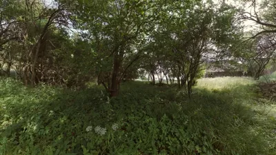 Immobilie kaufen in Waidhofen an der Thaya – 85 m², € 123.456 – Bild 20 von 22