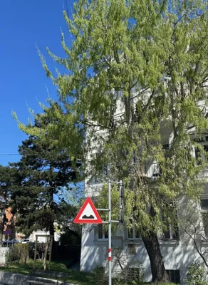 2-Zimmer-Wohnung kaufen in Wien – 64,2 m², € 379.000 – Bild 15 von 18