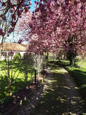 6-Zimmer-Haus kaufen in Jennersdorf – 330 m², € 695.000 – Bild 2 von 16