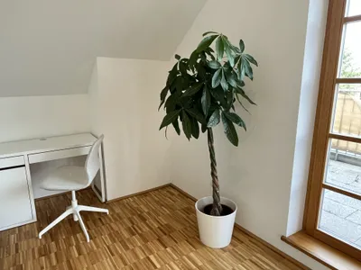 1-Zimmer-Wohnung mieten in Salzburg-Umgebung – 27 m², € 721 – Bild 6 von 8
