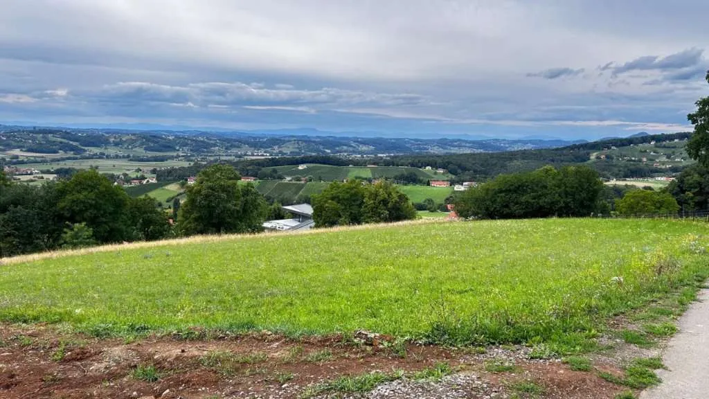 Wunderschönes, landwirtschaftliches Grünland für Landwirte oder Anleger! - Ansicht 2