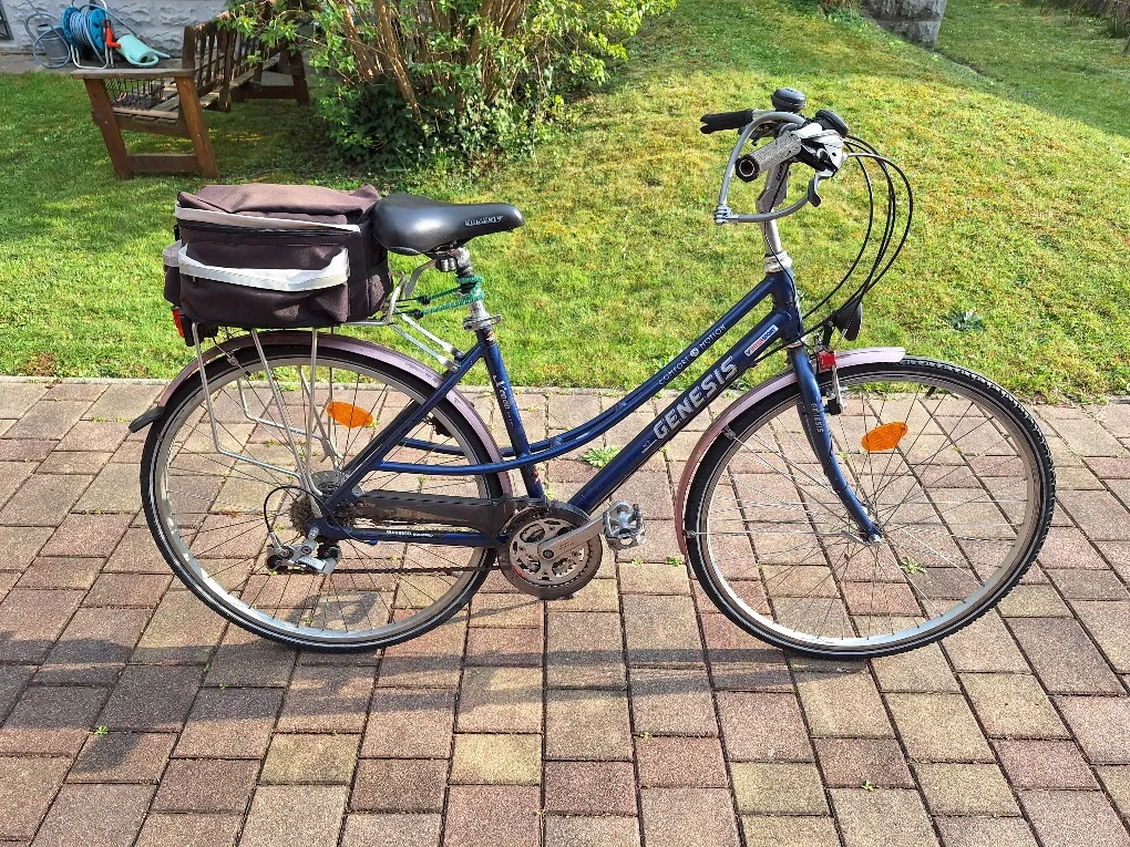 bafang display fischer e-bike DASH Mini 500W Belt Drive – SERFAS INC Battery Range:40 Miles Pfandflaschen Aufbewahren Ideen mit Größe:Set 50 + 85 Liter