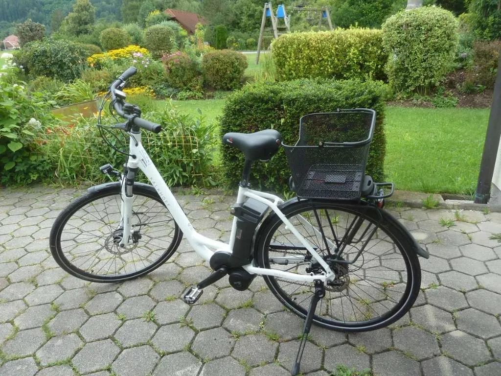 shimano e bike ladegerät STePS (for e6000, e6100, & e8000) Charger – Larry vs Harry Model:Wagen Cube Kathmandu Hybrid EXC reliable charging for Shimano Riding Gear