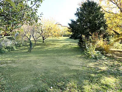 Immobilie mieten in Sankt Pölten Land – 1 186 m², € 590 – Bild 7 von 11