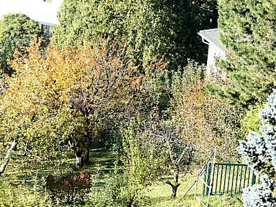 Immobilie mieten in Sankt Pölten Land – 1 186 m², € 590 – Bild 3 von 11
