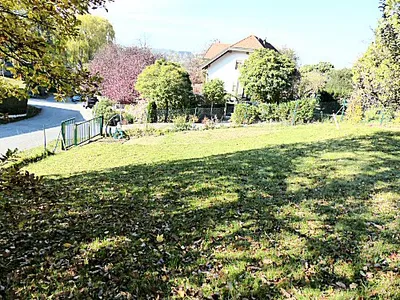 Immobilie mieten in Sankt Pölten Land – 1 186 m², € 590 – Bild 6 von 11