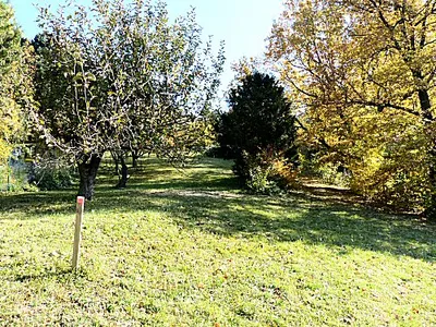 Immobilie mieten in Sankt Pölten Land – 1 186 m², € 590 – Bild 9 von 11
