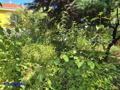 4-Zimmer-Haus kaufen in Eisenstadt – 100 m², € 447.000 – Bild 24 von 24