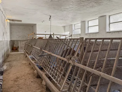 Grundstück kaufen in Wiener Neustadt Land – 186 m², € 490.000 – Bild 34 von 45