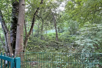 Grundstück kaufen in Vöcklabruck – € 180.000 – Bild 3 von 7