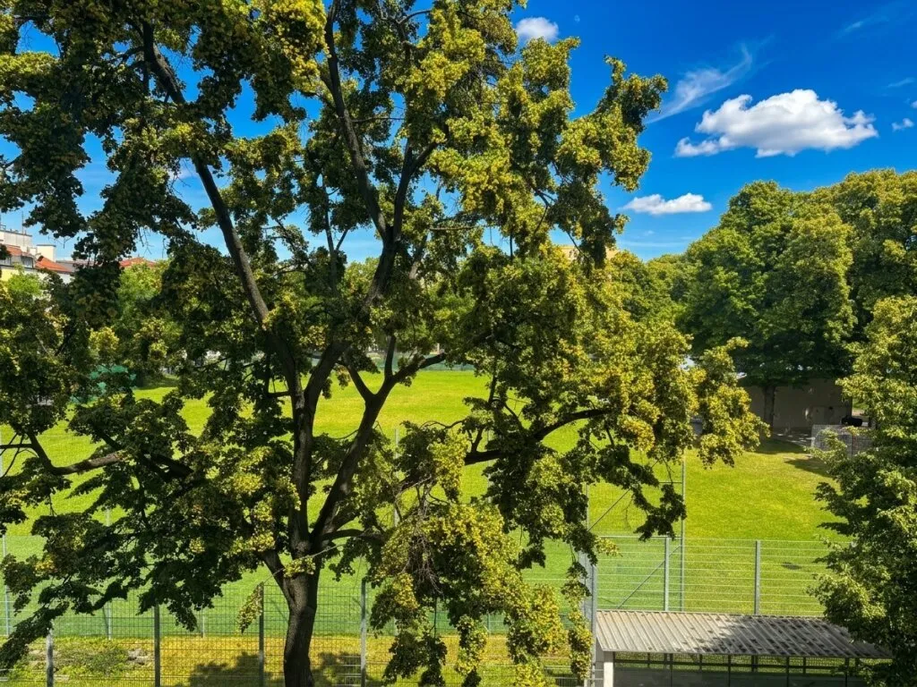 Apartment in Wien, Neumargareten, Meidling - Ansicht 3