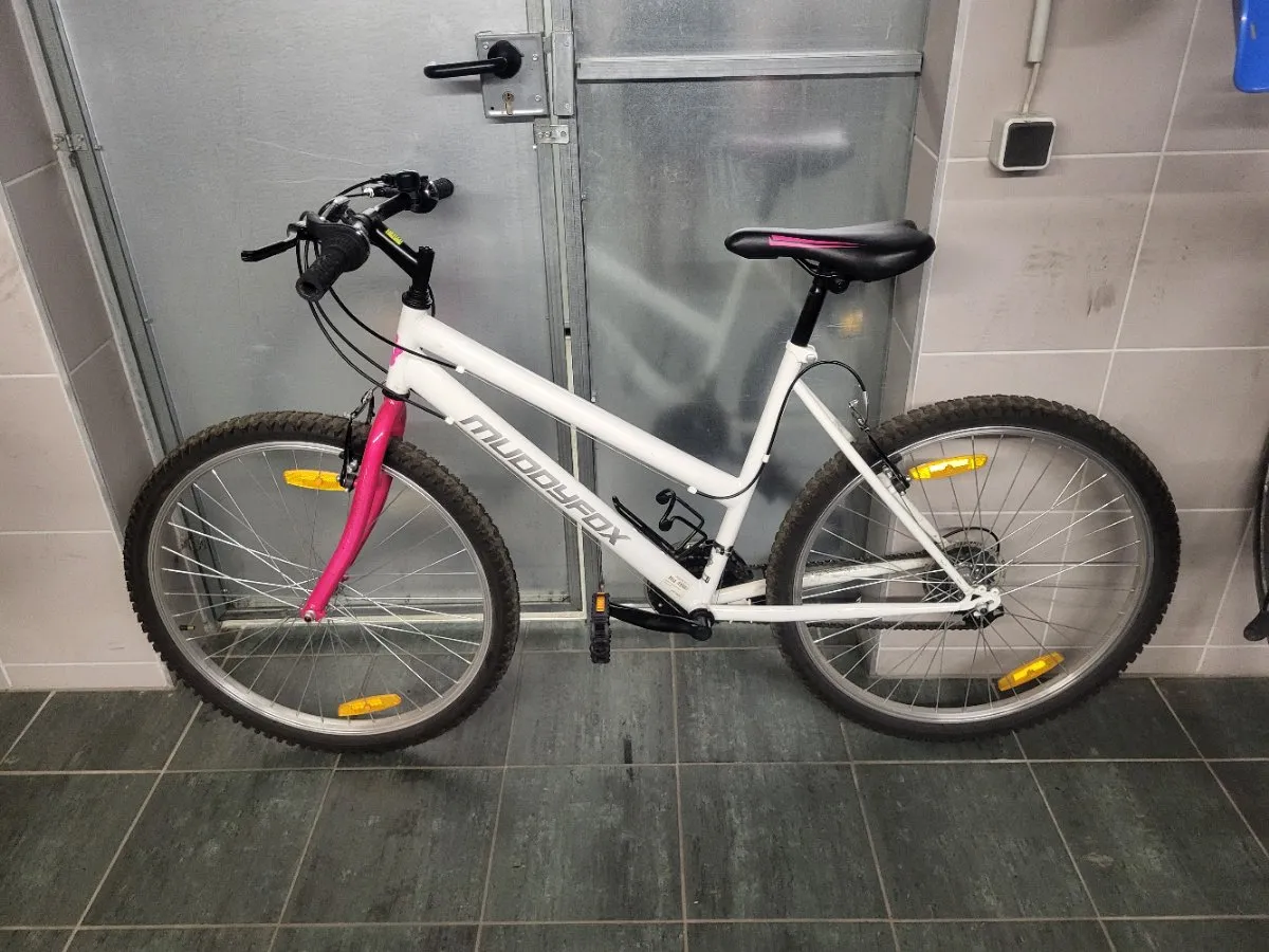fahrrad scheinwerfer für e-bike Litemove AC-210, E-Bikes mit Lenkerhalterung – Biketech24 CKB LTD Batterie-Abfall-Recycling-Abfallbehälter klein, Motorpos:Mitte Farbe:grün (pine green glänzend)