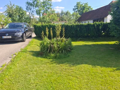5-Zimmer-Haus kaufen in Hartberg-Fürstenfeld – 145 m², € 239.000 – Bild 52 von 55