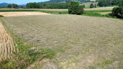 6-Zimmer-Haus kaufen in Sankt Veit an der Glan – 220 m², € 485.000 – Bild 39 von 41