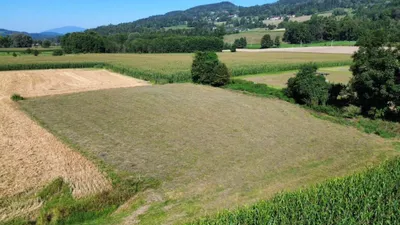 6-Zimmer-Haus kaufen in Sankt Veit an der Glan – 220 m², € 485.000 – Bild 33 von 41