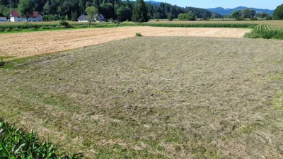 6-Zimmer-Haus kaufen in Sankt Veit an der Glan – 220 m², € 485.000 – Bild 40 von 41