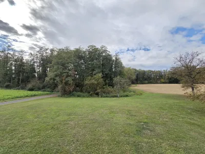 Immobilie kaufen in Südoststeiermark – 222 m², € 248.000 – Bild 11 von 21