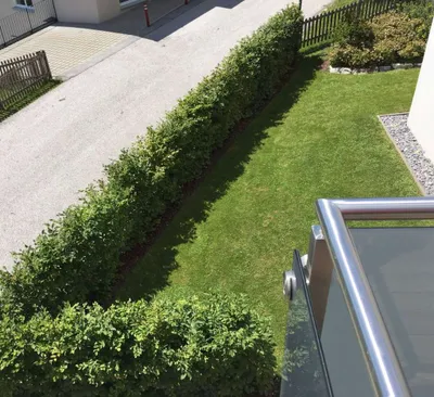 Wohnung mieten in Sankt Johann im Pongau – 40 m², € 750 – Bild 12 von 12