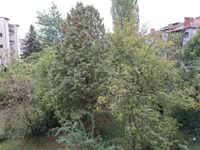 3-Zimmer-Wohnung kaufen in Graz – 84 m², € 309.000 – Bild 4 von 16