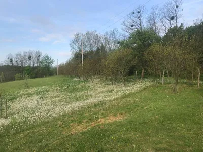 4-Zimmer-Immobilie kaufen in Jennersdorf – 87 m², € 179.000 – Bild 2 von 19