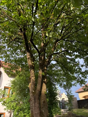 3-Zimmer-Wohnung mieten in Wels-Land – 90 m², € 1.080 – Bild 14 von 49