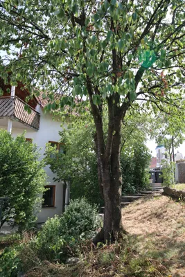 3-Zimmer-Wohnung mieten in Wels-Land – 90 m², € 1.080 – Bild 13 von 49