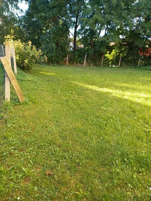 3-Zimmer-Haus kaufen in Hollabrunn – 90 m², € 81.000 – Bild 11 von 16