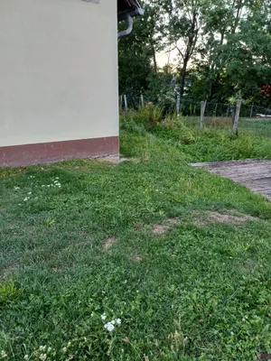 3-Zimmer-Haus kaufen in Hollabrunn – 90 m², € 81.000 – Bild 14 von 16