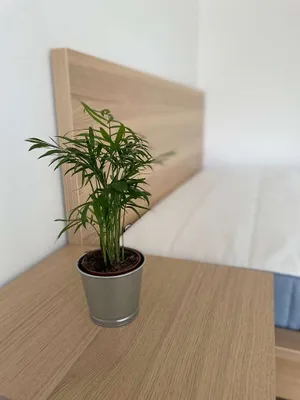1-Zimmer-Wohnung mieten in Salzburg Stadt – 35 m², € 870 – Bild 18 von 25