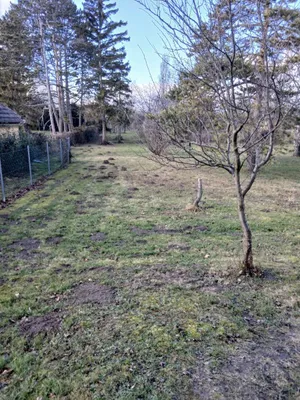Grundstück kaufen in Bruck an der Leitha – 2 714 m², € 1.499.900 – Bild 9 von 9