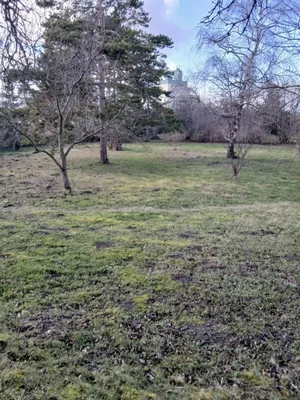 Grundstück kaufen in Bruck an der Leitha – 2 714 m², € 1.499.900 – Bild 8 von 9