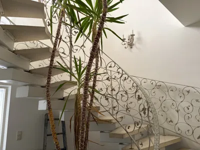 7-Zimmer-Gewerbeimmobilie kaufen in Weiz – 188 m², € 295.000 – Bild 7 von 15