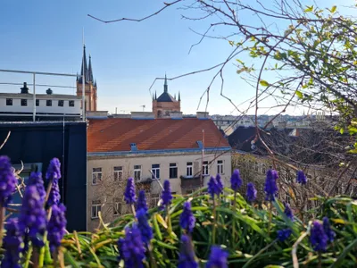 1-Zimmer-Wohnung mieten in Wien – 52,36 m², € 1.399 – Bild 6 von 26